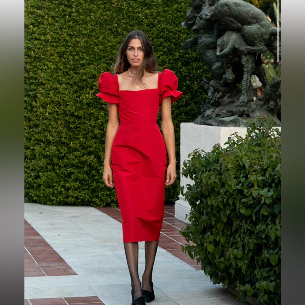 Damaris Bailey Rose En Rosetta Dress Size Small